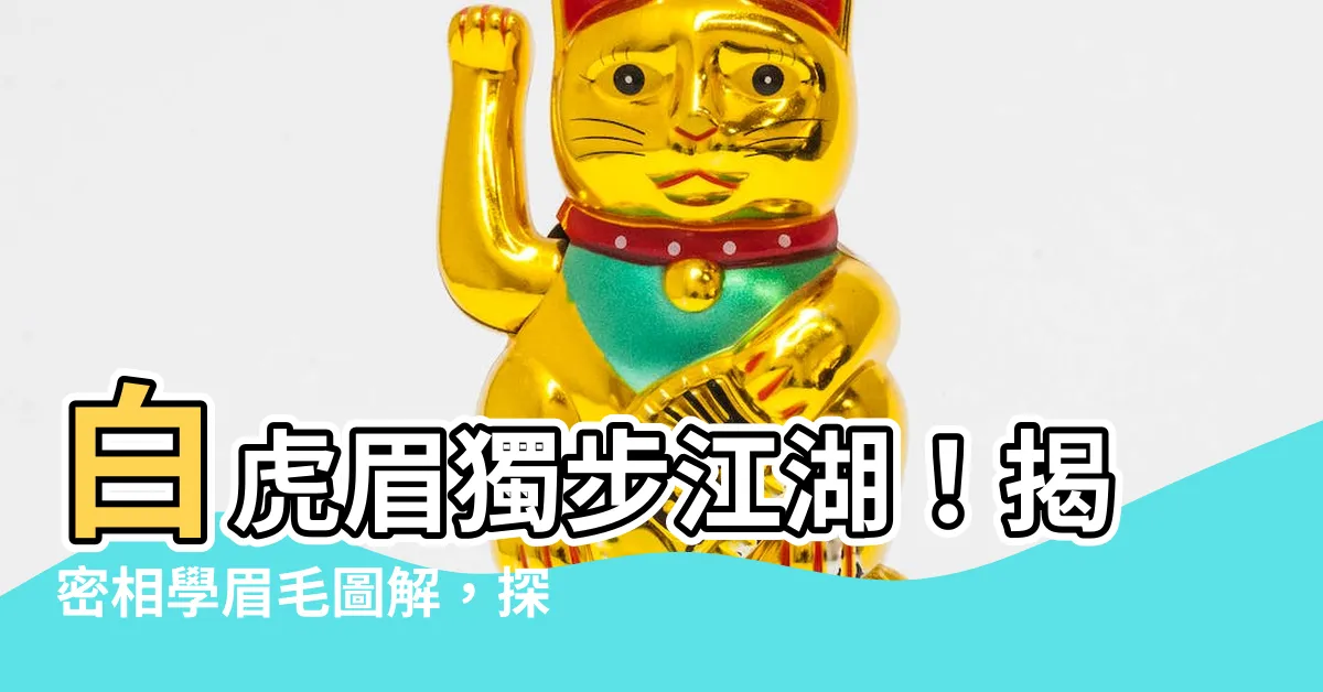 【白虎眉】白虎眉獨步江湖！揭密相學眉毛圖解，探究人生訣竅