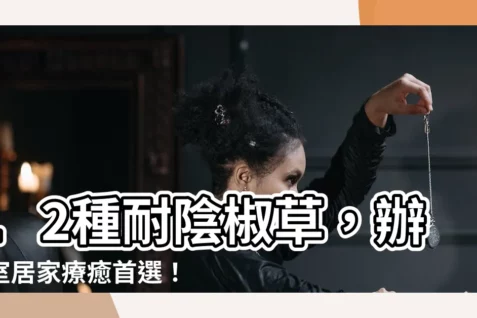 【椒草種類】12種耐陰椒草，辦公室居家療癒首選！