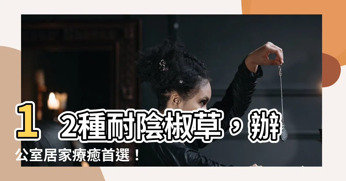 【椒草種類】12種耐陰椒草,辦公室居家療癒首選!