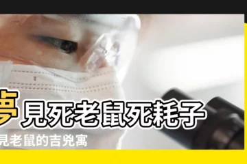 【夢見被軋死的老鼠】夢見死老鼠死耗子 |夢見老鼠的吉兇寓意 |夢到死老鼠到自己身上 |