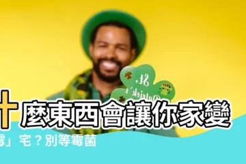 【什麼東西會發黴】什麼東西會讓你家變「黴」宅？別等黴菌害慘你家人！