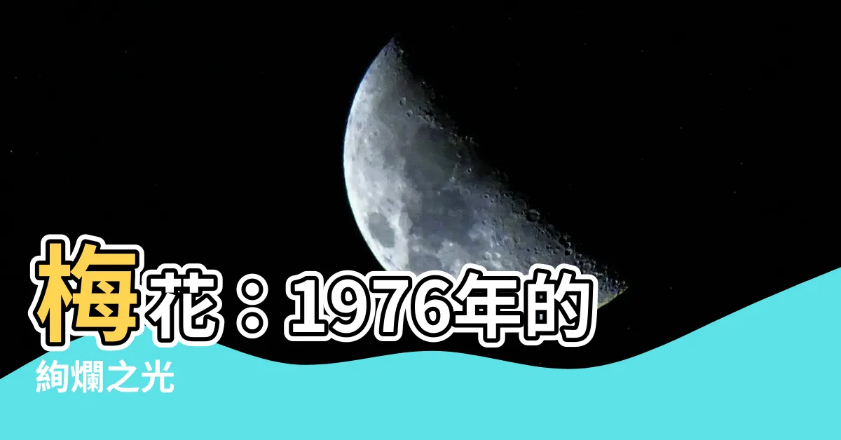 【梅花 1976】梅花：1976年的絢爛之光