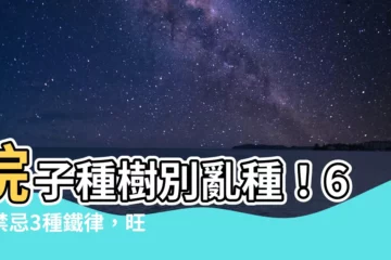 【庭院種樹禁忌】院子種樹別亂種！6大禁忌3種鐵律，旺宅避兇就有靠