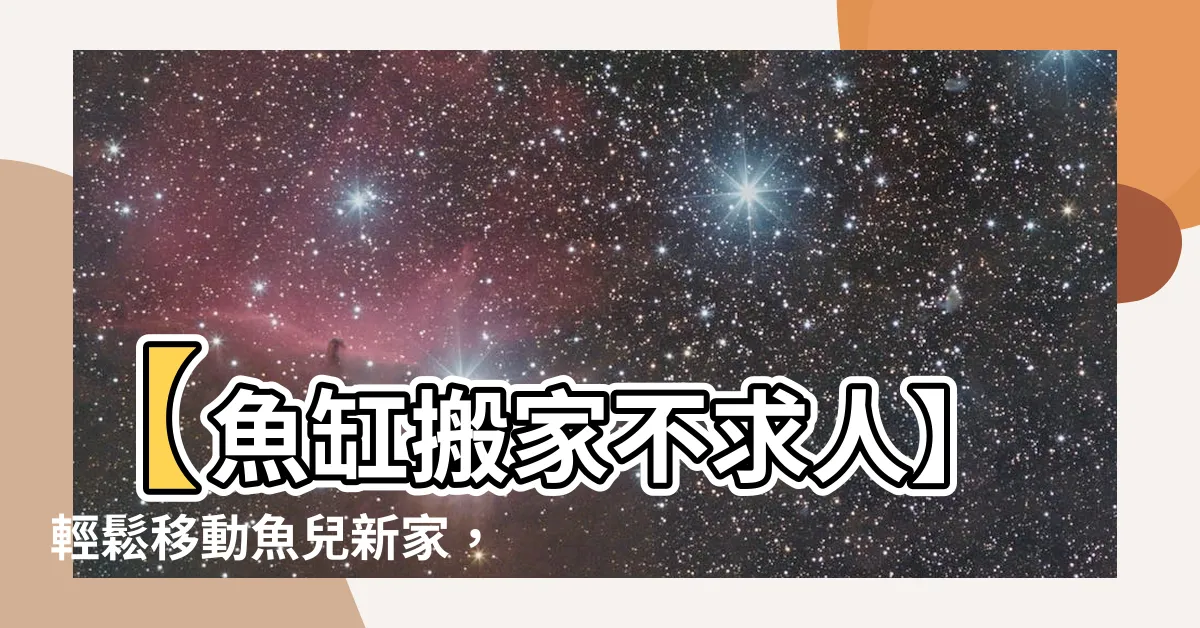 【魚缸搬家】【魚缸搬家不求人】輕鬆移動魚兒新家，5步驟輕鬆搞定！
