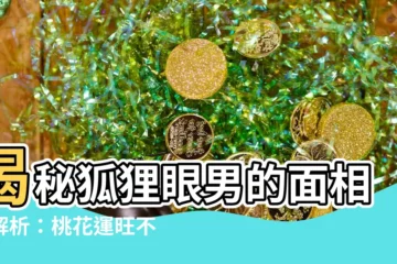 【狐狸眼男面相】揭秘狐狸眼男的面相大解析：桃花運旺不旺？性格魅力是什麼？