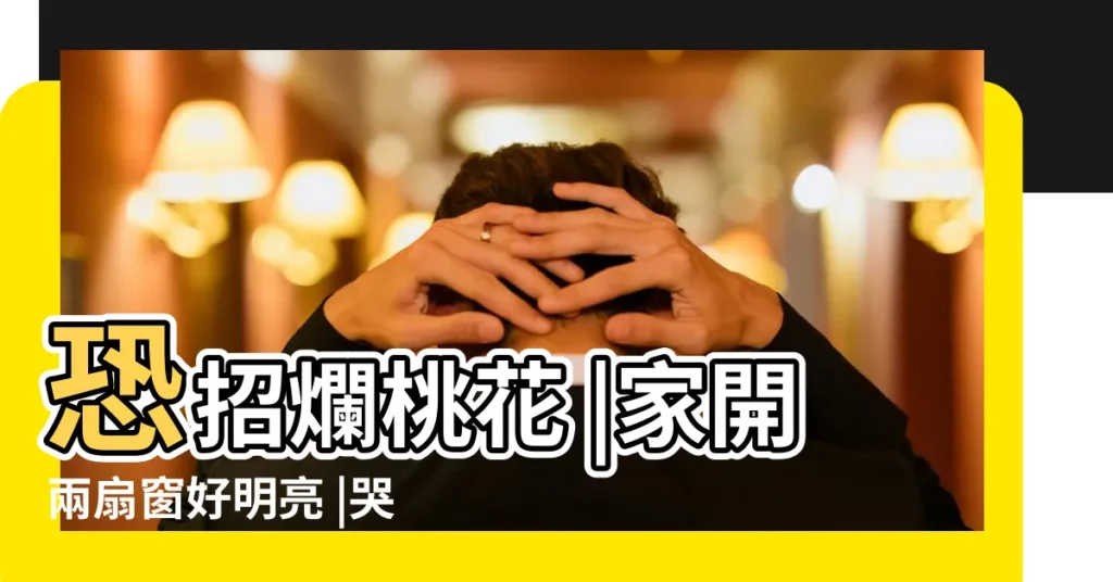 恐招爛桃花 |家開兩扇窗好明亮 |哭又怎麼了 |【一面牆兩個窗】