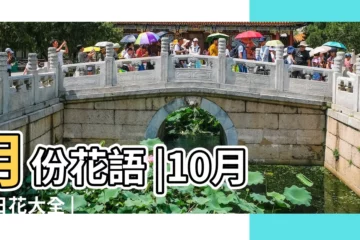 【10月份代表什麼花】月份花語 |10月生日花大全 |