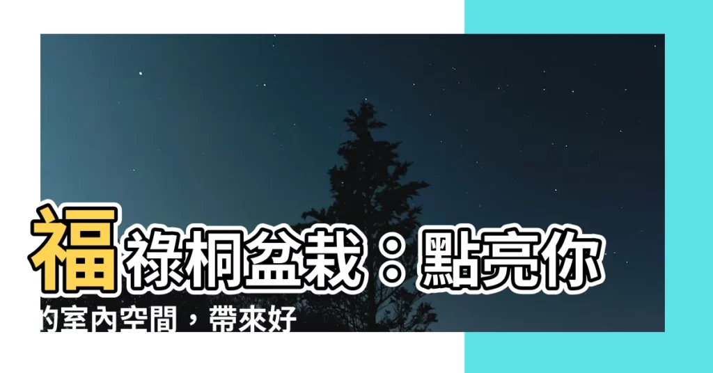 【福祿桐 室內】福祿桐盆栽：點亮你的室內空間，帶來好運和財富