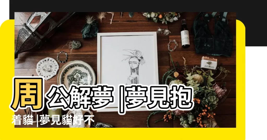 周公解夢 |夢見抱着貓 |夢見貓好不好 |【做夢抱着一隻貓貓身上還有獅子】
