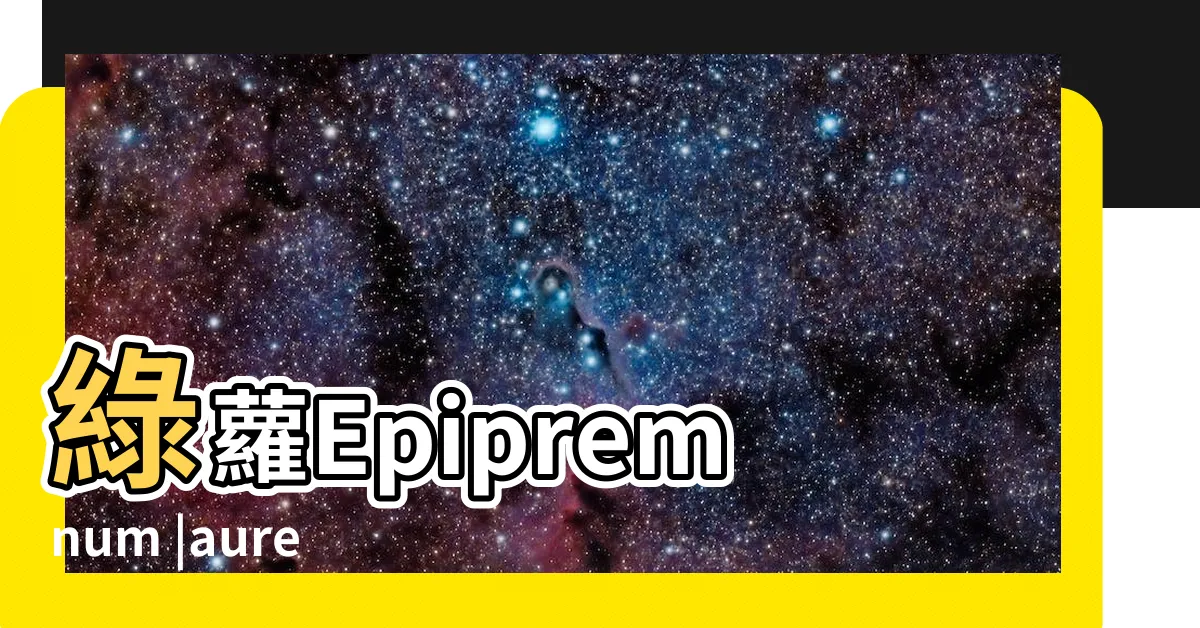 【綠蘿英文】綠蘿Epipremnum |aureum |就沒有一棵會開花 |