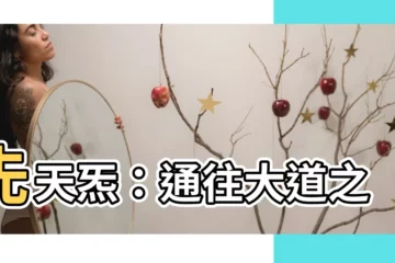 【先天炁】先天炁：通往大道之秘