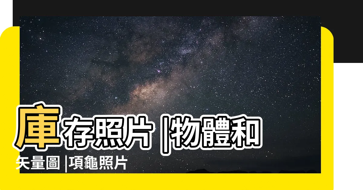 【烏龜照片】庫存照片 |物體和矢量圖 |項龜照片檔 |