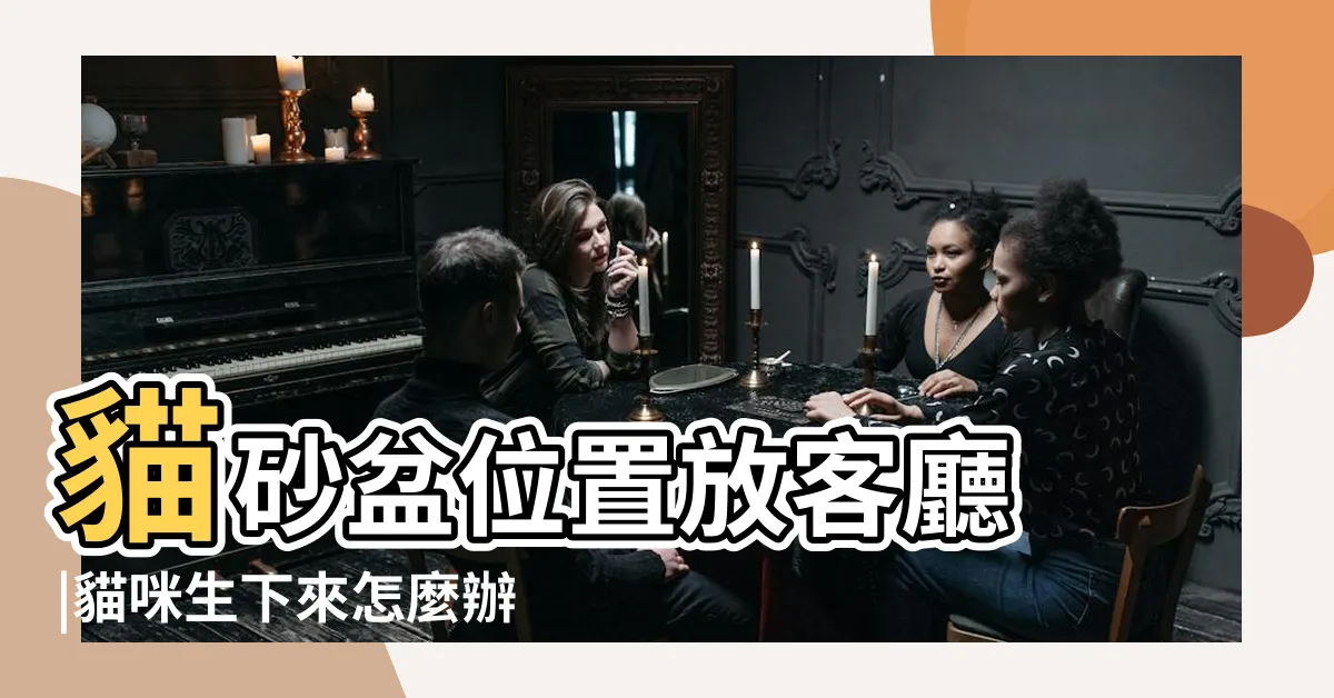 【貓來家裡生孩子風水】貓砂盆位置放客廳 |貓咪生下來怎麼辦 |擺放最佳風水在這裡 |