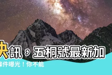 【五桐號加盟條件】快訊，五桐號最新加盟條件曝光！你不能錯過的飲料店加盟新選擇