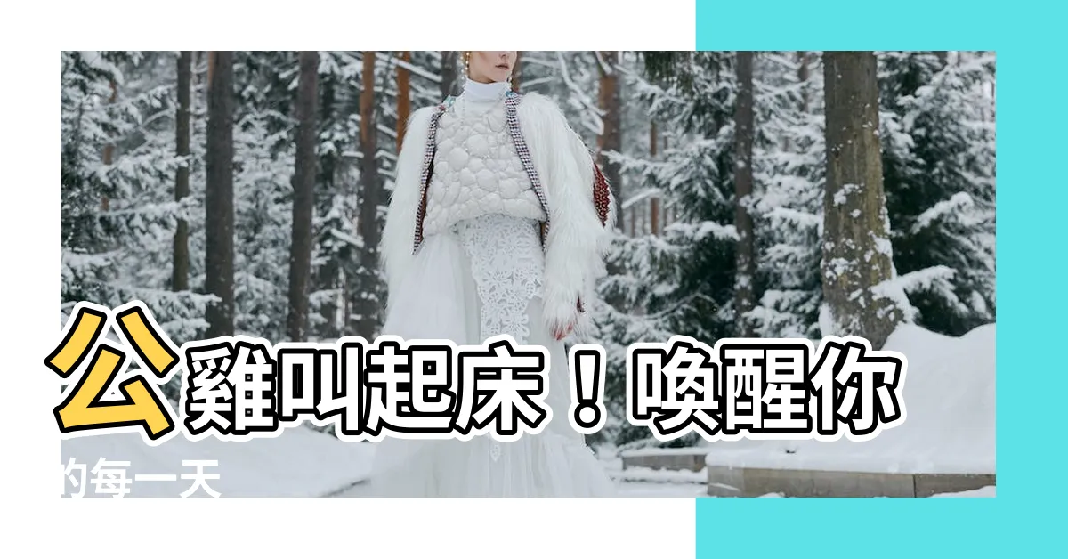 【公雞叫起牀】公雞叫起牀！喚醒你的每一天