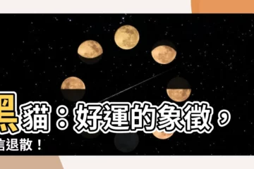 【黑貓 好運】黑貓：好運的象徵，迷信退散！