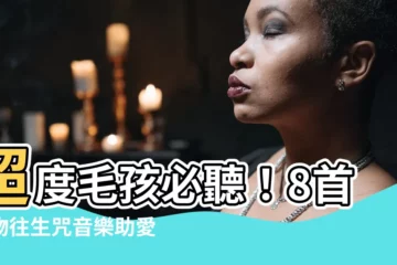【寵物往生咒音樂】超度毛孩必聽！8首寵物往生咒音樂助愛寵安息