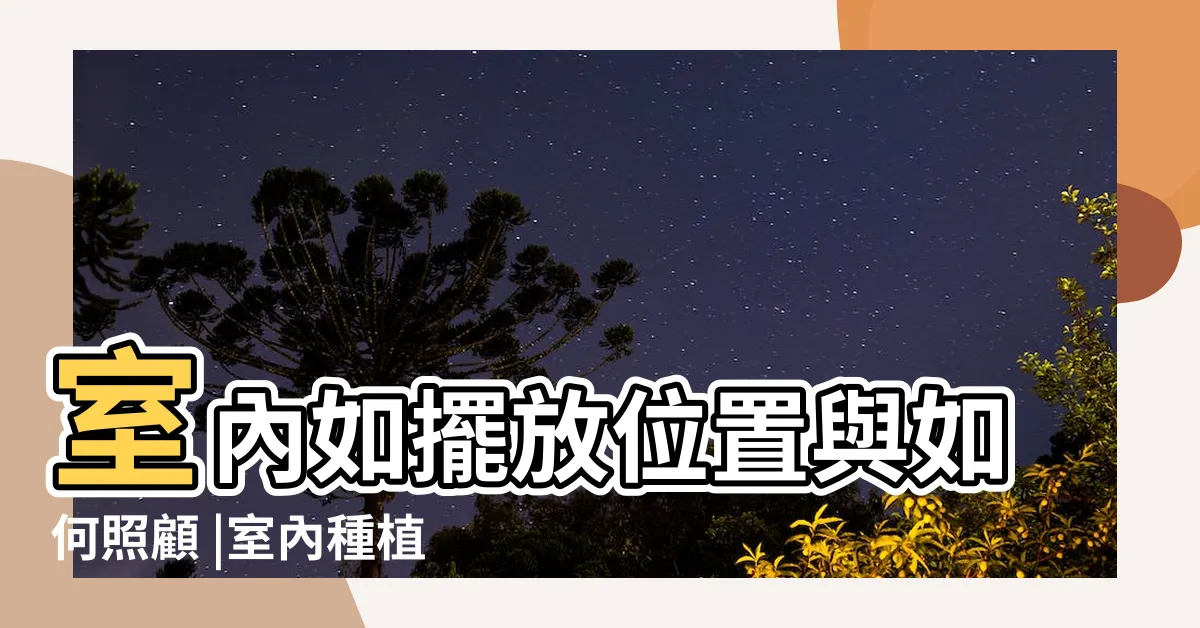 【室內植物招財】室內如擺放位置與如何照顧 |室內種植的居家盆栽推薦 |十大招財植物選擇 |