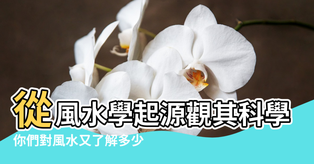 【風水學的真實性】從風水學起源觀其科學性 |你們對風水又了解多少 |風水學是真存在的嗎 |