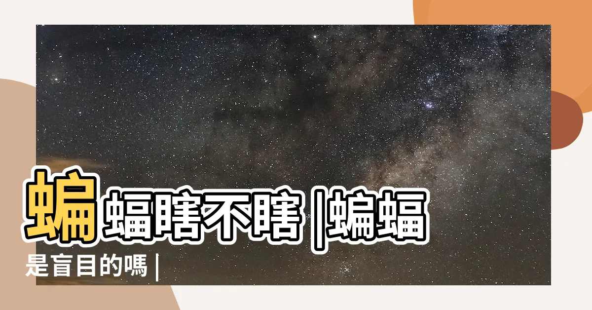 【蝙蝠視力】蝙蝠瞎不瞎 |蝙蝠是盲目的嗎 |