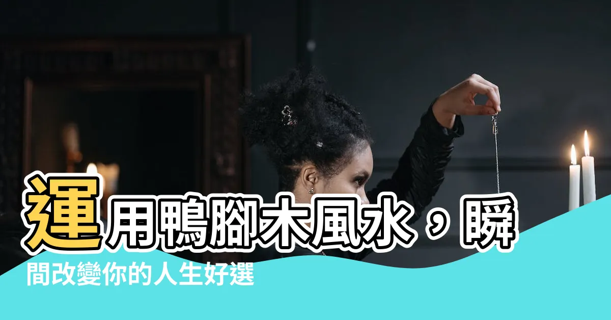 【鴨腳木風水】運用鴨腳木風水，瞬間改變你的人生好選擇！