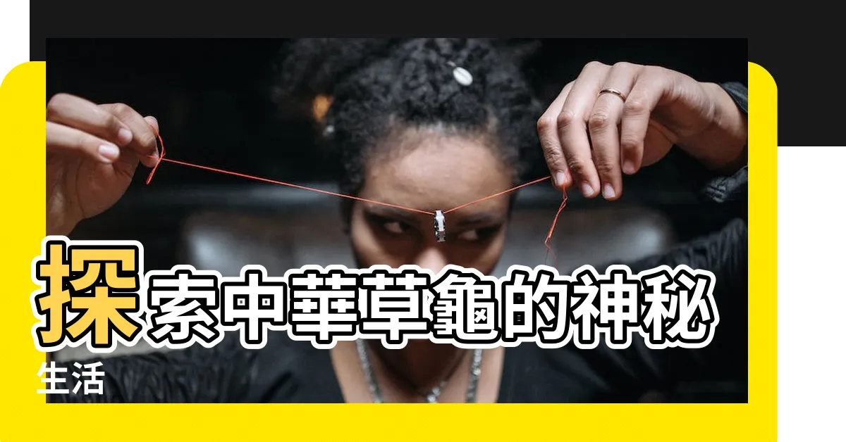 【草龜】探索中華草龜的神秘生活