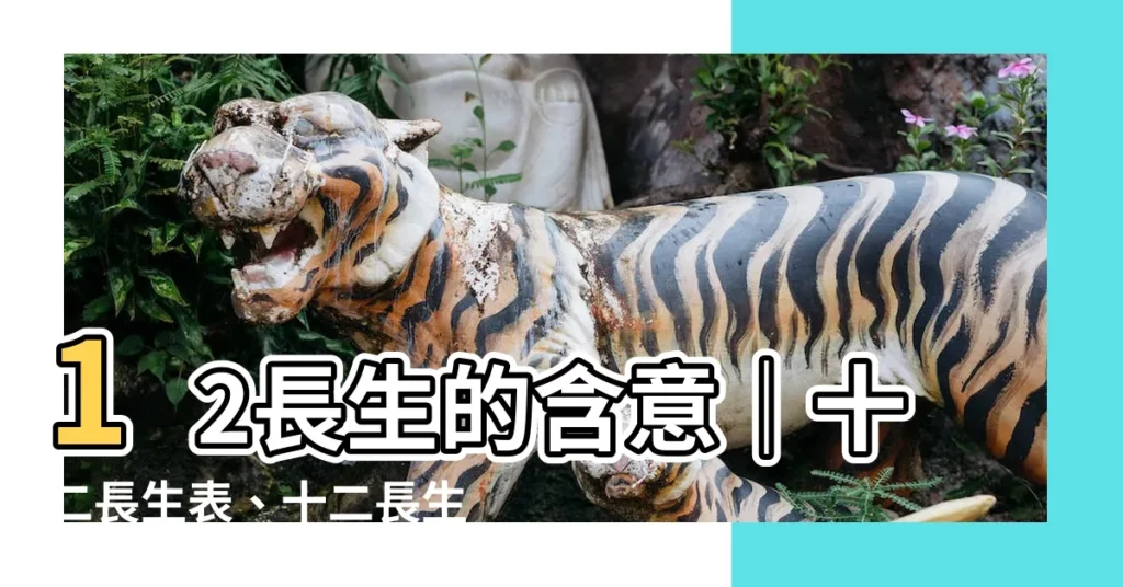 【12長生的意思】12長生的含意｜十二長生表、十二長生的用法一次看懂