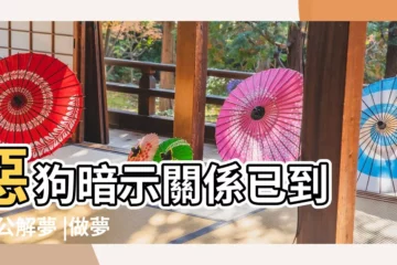 【昨晚夢見一條生病的狗】惡狗暗示關係已到 |周公解夢 |做夢夢見狗好不好 |