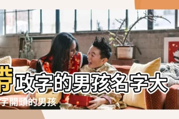 【男孩政字開頭的名字】帶政字的男孩名字大全 |字開頭的男孩名字推薦 |帶政字的男孩名字 |
