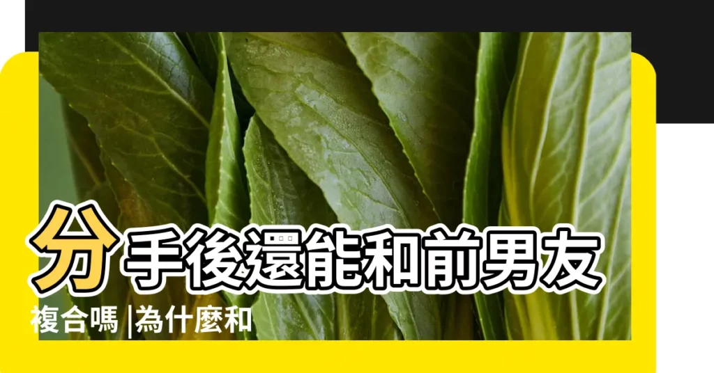 分手後還能和前男友複合嗎 |為什麼和前男友複合後 |沒有之前的那種感覺了 |【和前男友複合後分手】