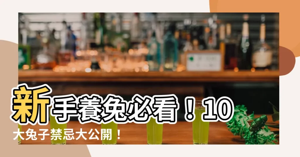【兔子禁忌】新手養兔必看！10大兔子禁忌大公開！