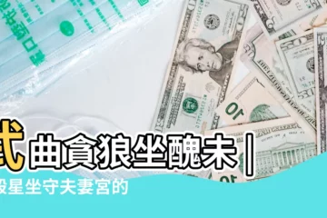 【紫微七殺天馬 夫妻宮】武曲貪狼坐醜未 |七殺星坐守夫妻宮的分析 |會有正果嗎 |