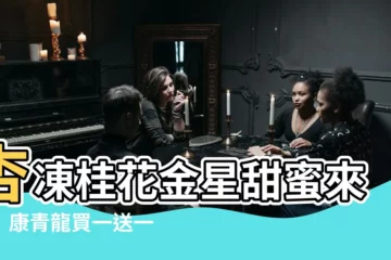 【杏凍桂花金星】杏凍桂花金星甜蜜來襲！康青龍買一送一限時優惠