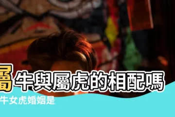 【女屬牛男屬虎可以結婚嗎】屬牛與屬虎的相配嗎 |男牛女虎婚姻是否相配男屬牛女屬虎的婚姻怎麼樣 |牛虎在一起注意事項 |