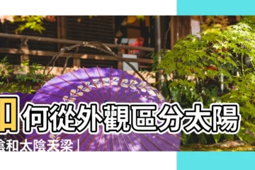 【太陽會太陰天梁】如何從外觀區分太陽太陰和太陰天梁 |雙星組合之太陽天梁 |科技紫微網 |