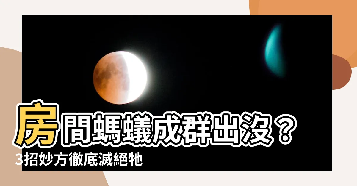 【房間出現很多螞蟻】房間螞蟻成羣出沒？3招妙方徹底滅絕牠們！