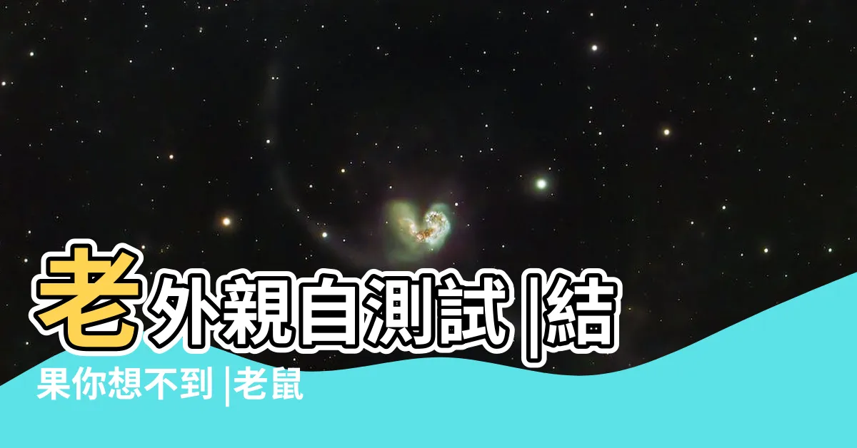【老鼠能鑽多小的洞】老外親自測試 |結果你想不到 |老鼠能鑽多小的洞 |