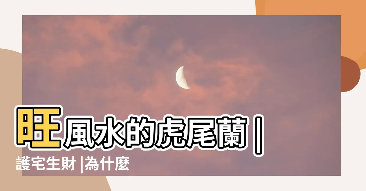 【石筆虎尾蘭風水】旺風水的虎尾蘭 |護宅生財 |為什麼這些地方不能放 |