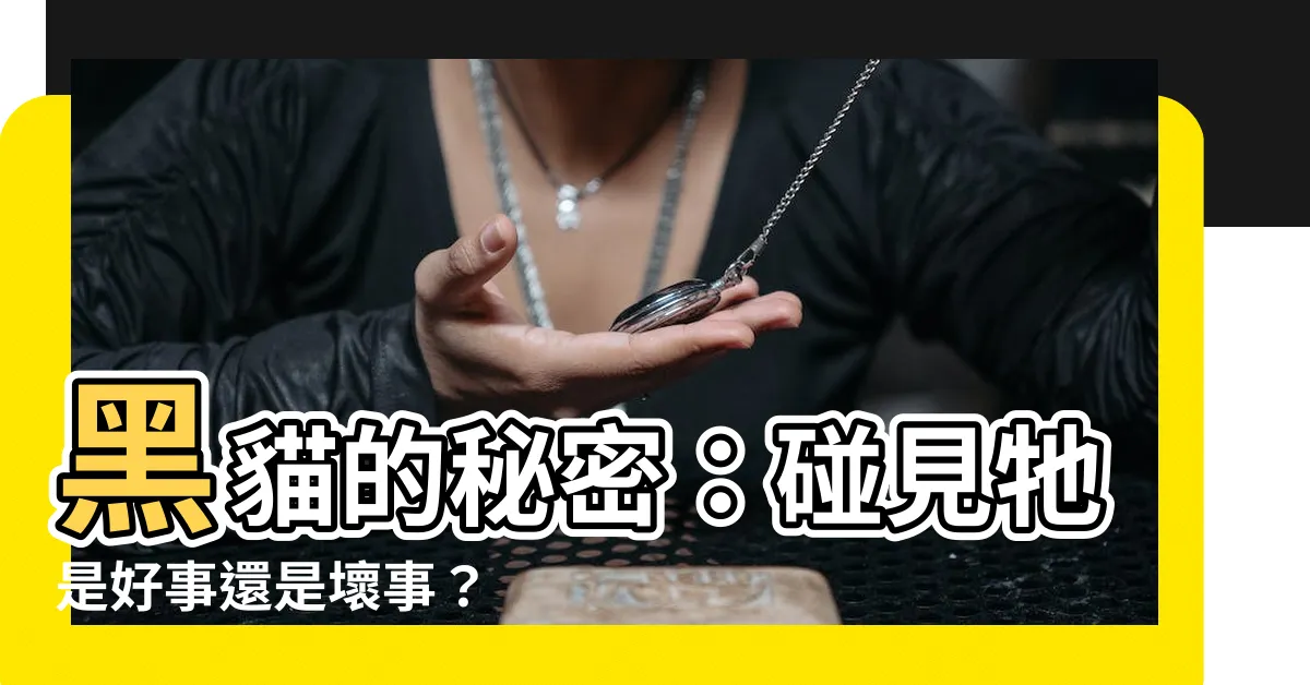 【看到黑貓】黑貓的秘密：碰見牠是好事還是壞事？
