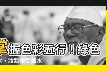 【綠色屬木】掌握色彩五行！綠色屬木，妝點空間風水招好運
