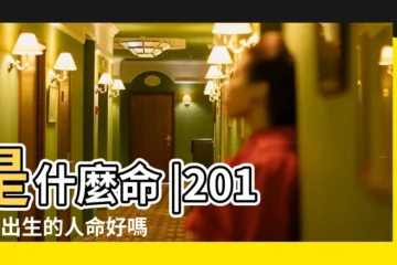 【2019正月二十五男孩】是什麼命 |2019年出生的人命好嗎 |2019年農曆正月二十一凌晨五點生的男寶寶五行缺什麼 |