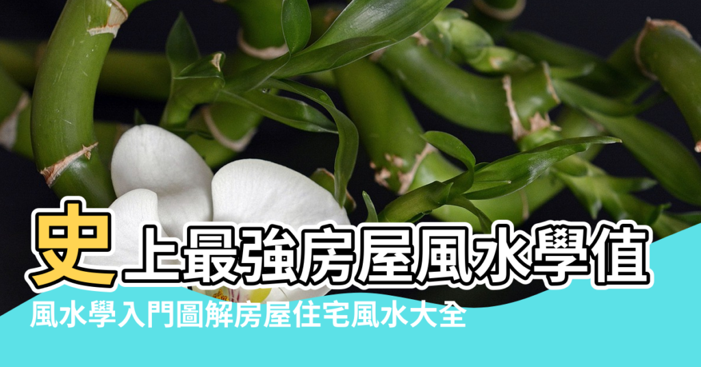 【房屋學風水】史上最強房屋風水學值得學習 |風水學入門圖解房屋住宅風水大全 |房屋風水學之什麼房不要買 |