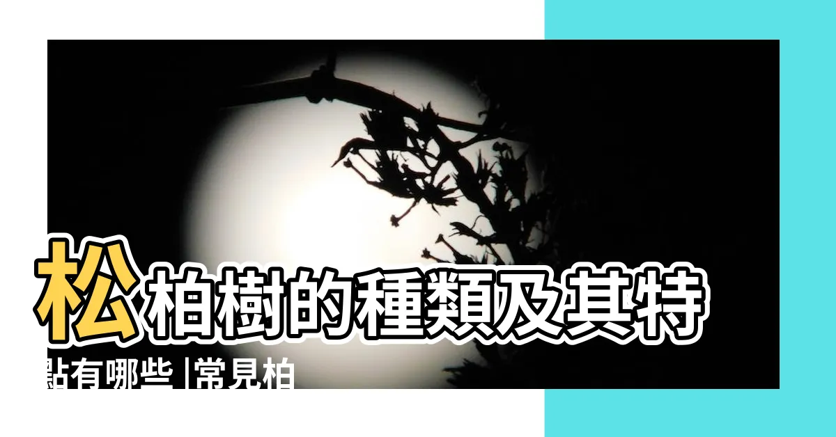 【松柏柏樹種類】松柏樹的種類及其特點有哪些 |常見柏樹盆景種類區別辨識 |松柏目柏科植物 |