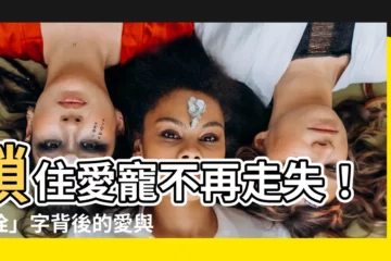 【拴的意思】鎖住愛寵不再走失！「拴」字背後的愛與責任