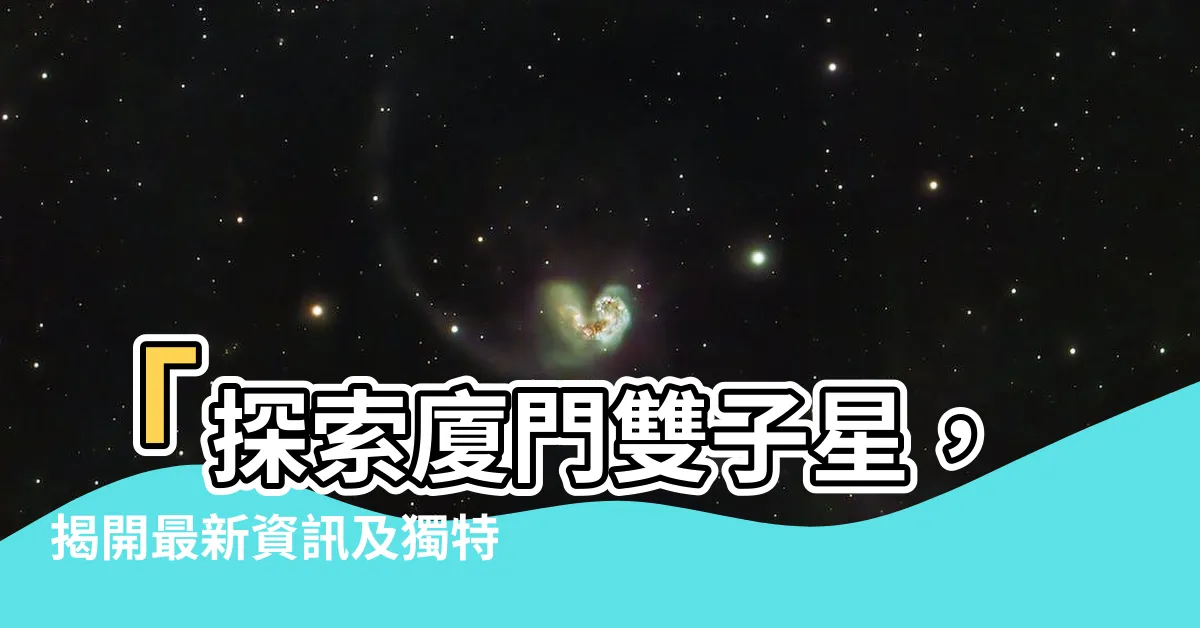 【廈門雙子星】「探索廈門雙子星，揭開最新資訊及獨特特色！」