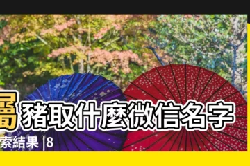 【83年屬豬女微信吉利網名】屬豬取什麼微信名字 |搜索結果 |83年屬豬取什麼名字旺財 |