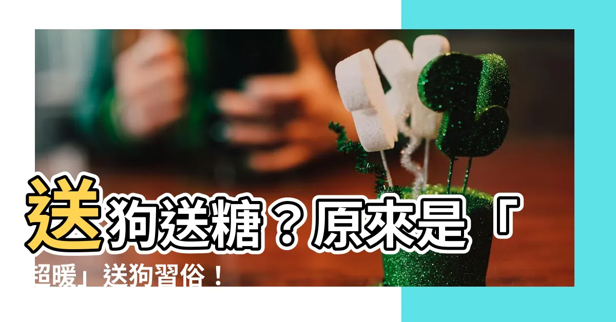 【送狗習俗】送狗送糖？原來是「超暖」送狗習俗！