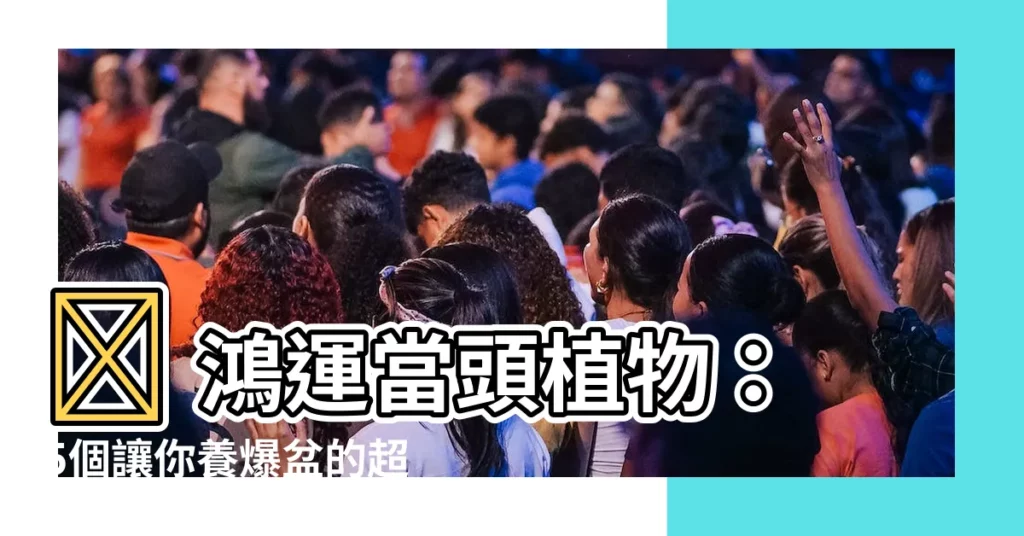 【鴻運當頭植物】🔥 鴻運當頭植物：5個讓你養爆盆的超強秘訣！ 💰