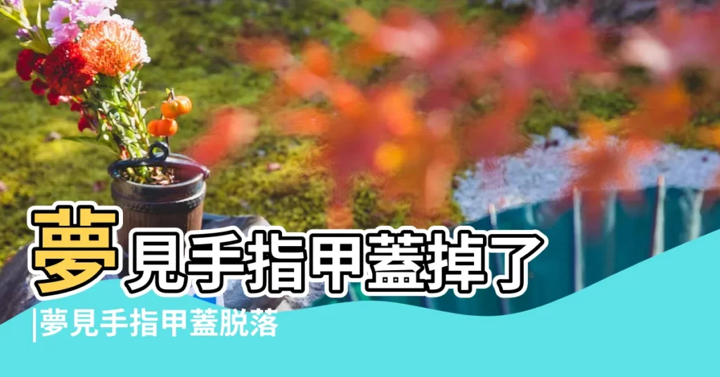 夢見手指甲蓋掉了 |夢見手指甲蓋脱落剝離 |夢見手指斷了 |【夢見手指蓋掉了是什麼意思】