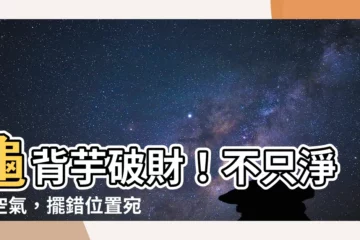 【龜背芋破財】龜背芋破財！不只淨化空氣，擺錯位置宛如破財煞